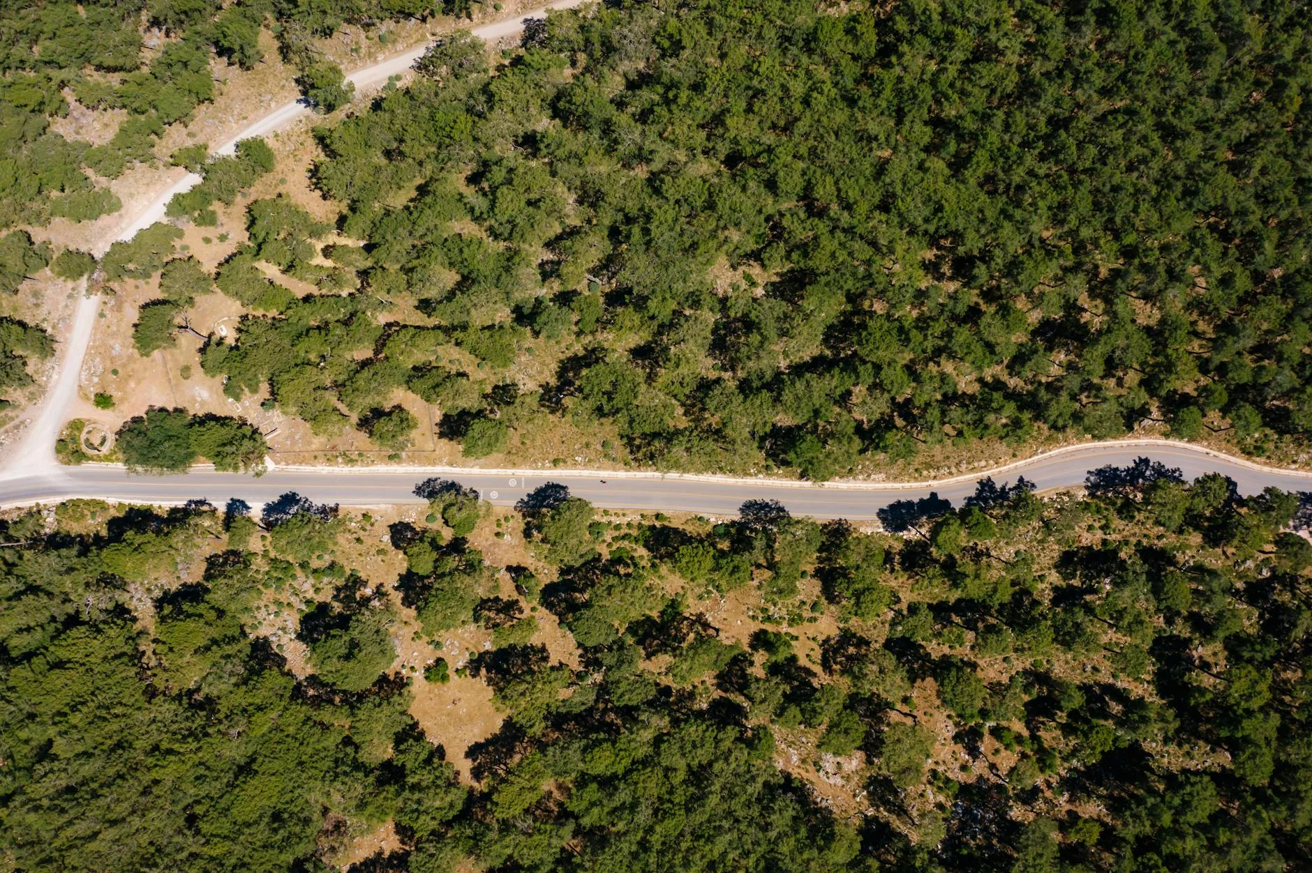 Single-lane sections through the forest above Cairns