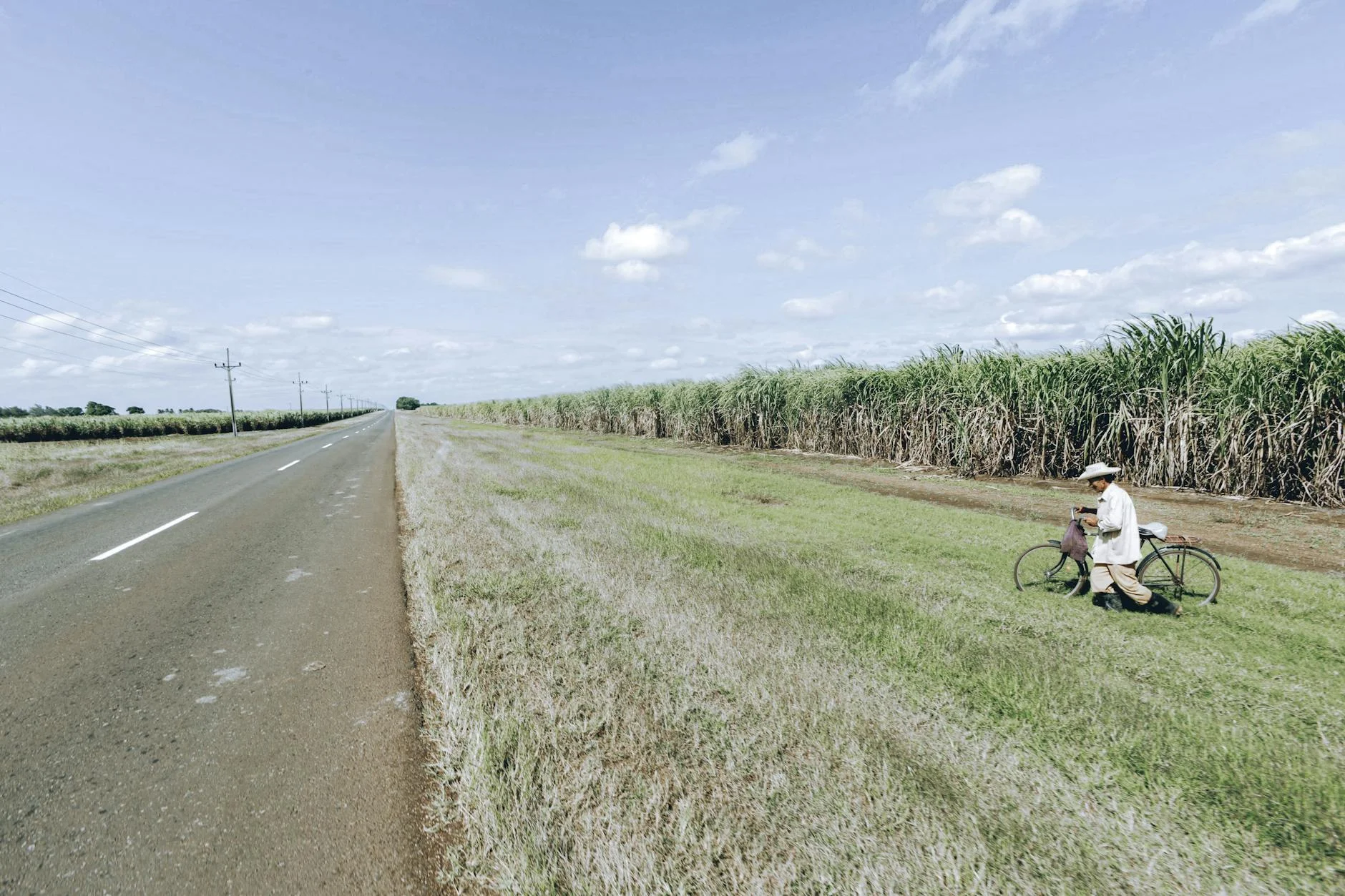 Cassowary Coast cane country at the stage start