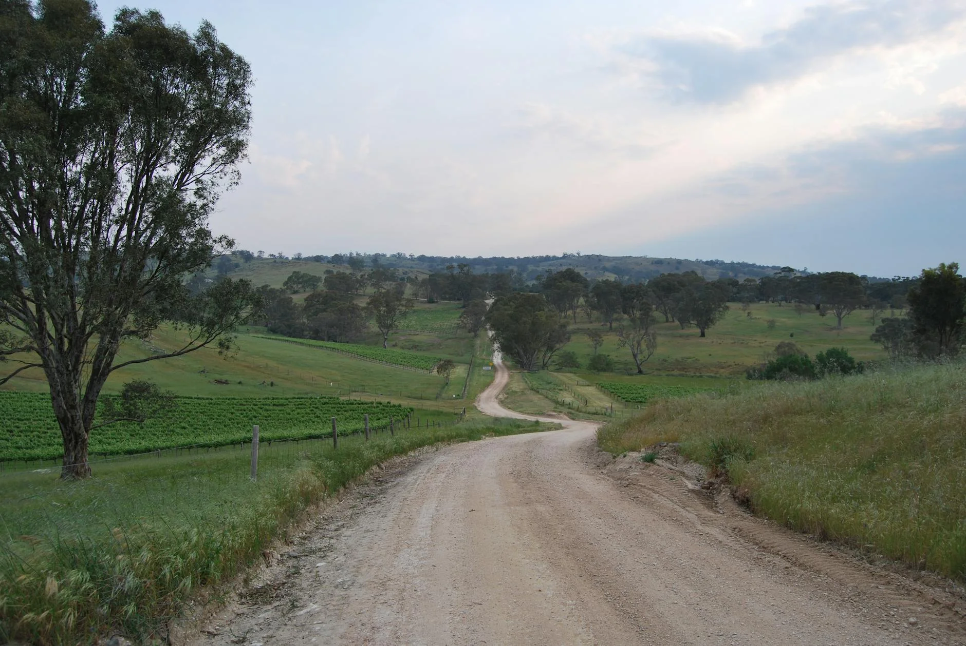 Adelaide Hills wine country near Uraidla at the top of the climb