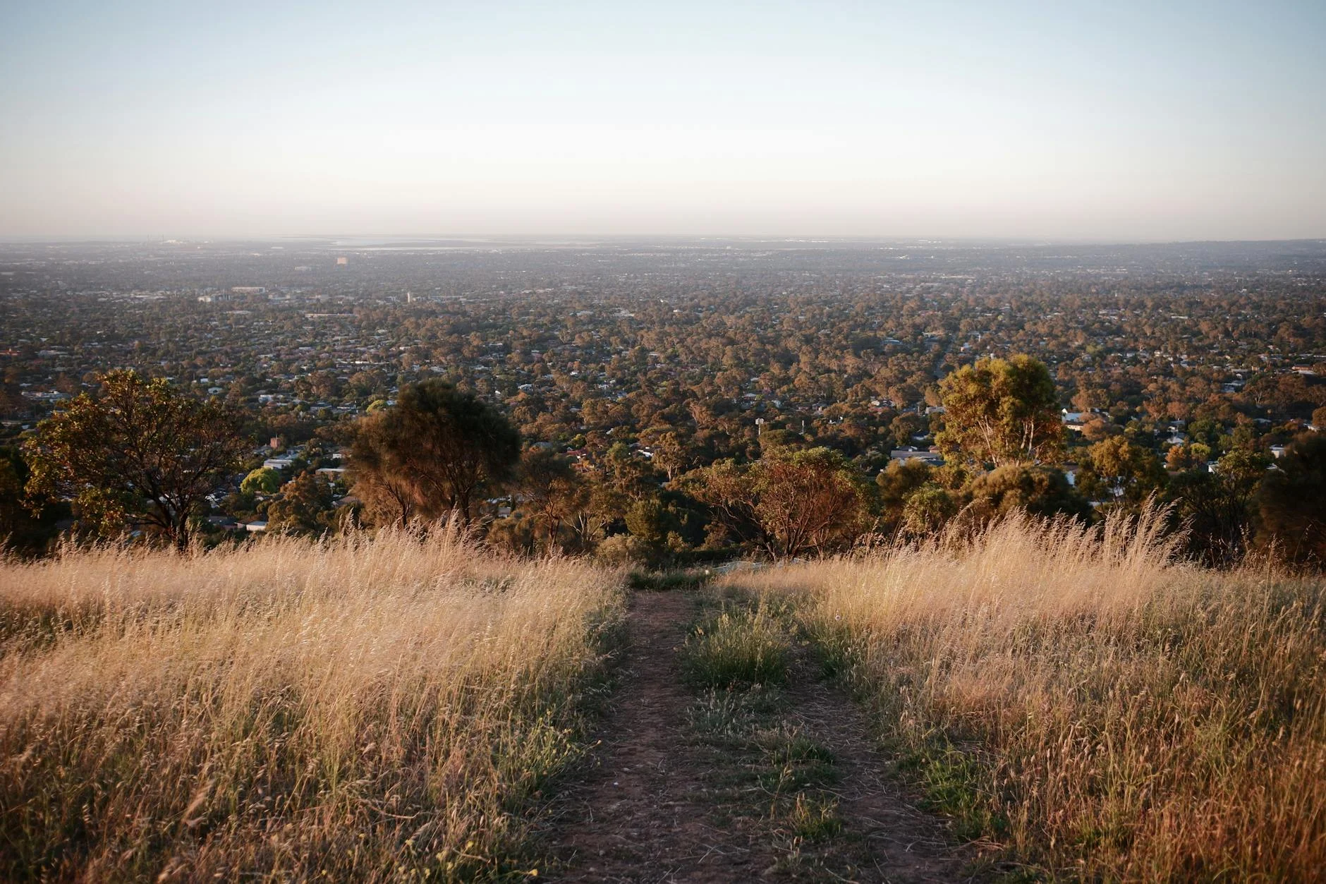 Adelaide Plains and Gulf St Vincent from the Mount Lofty Summit lookout