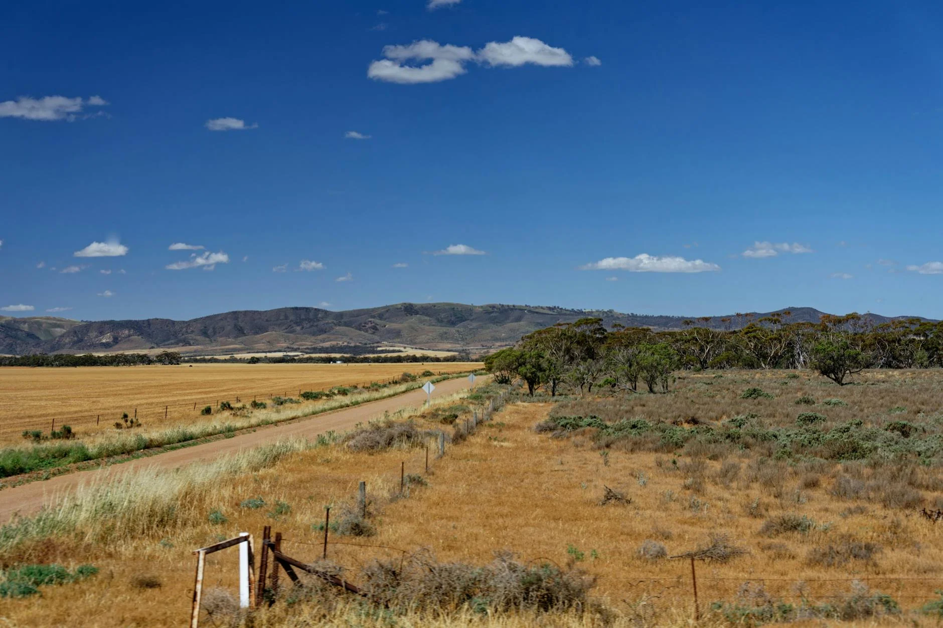 Onkaparinga Valley road south of Mylor - vineyard and pastoral country