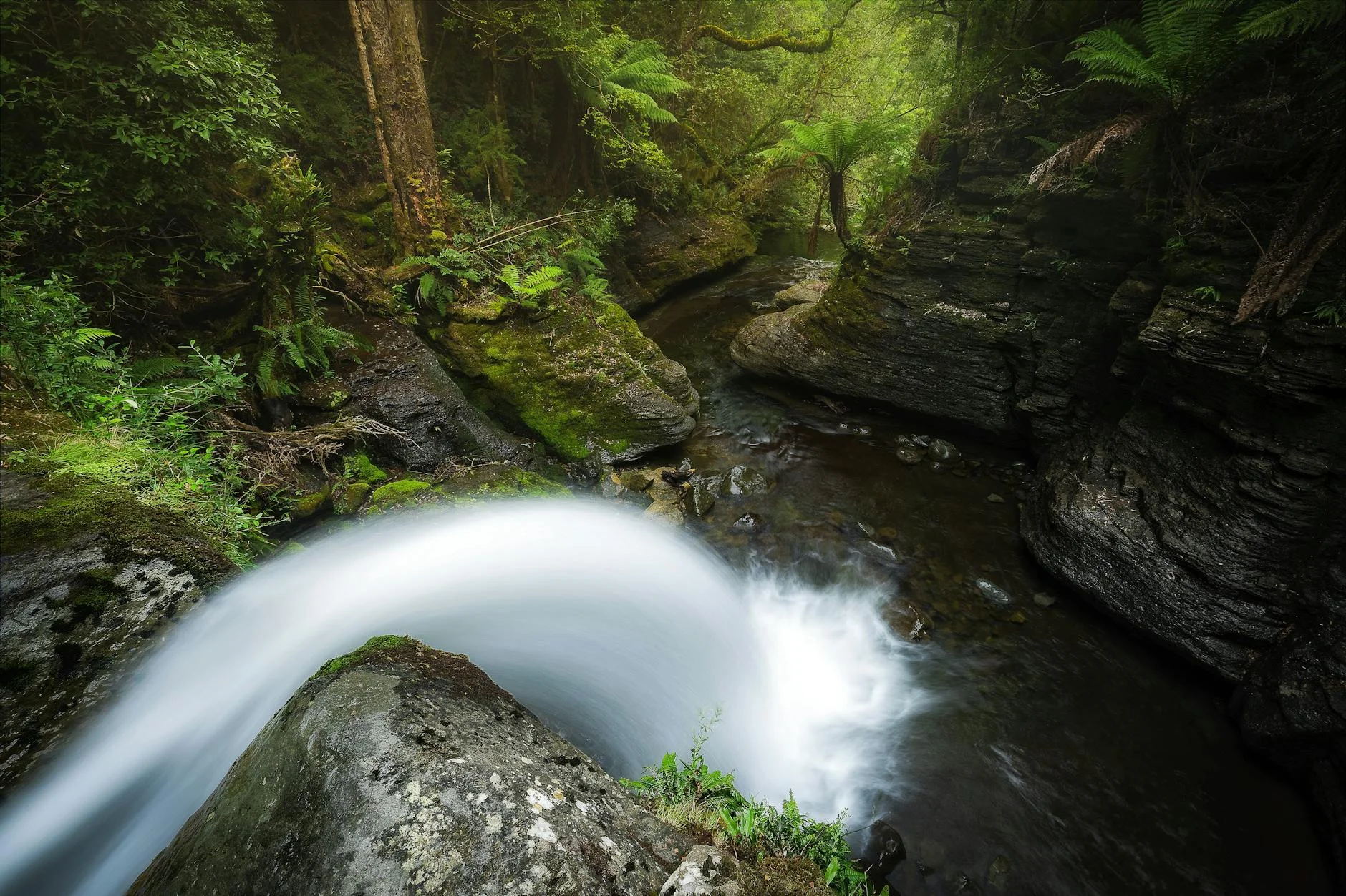 The Hellyer River through the Tarkine rainforest