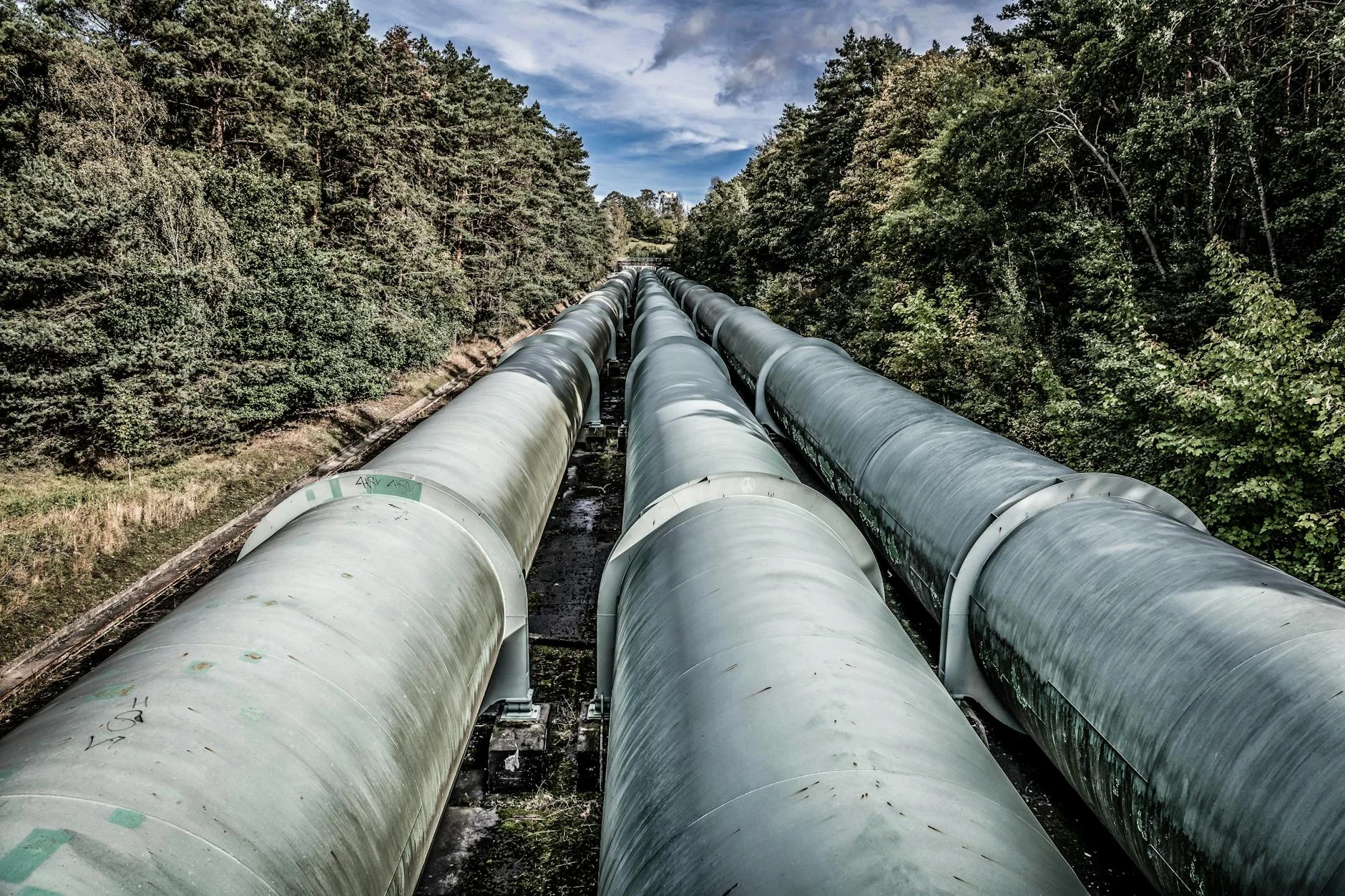 Hydro pipeline at Tarraleah - engineering on a Tasmanian scale