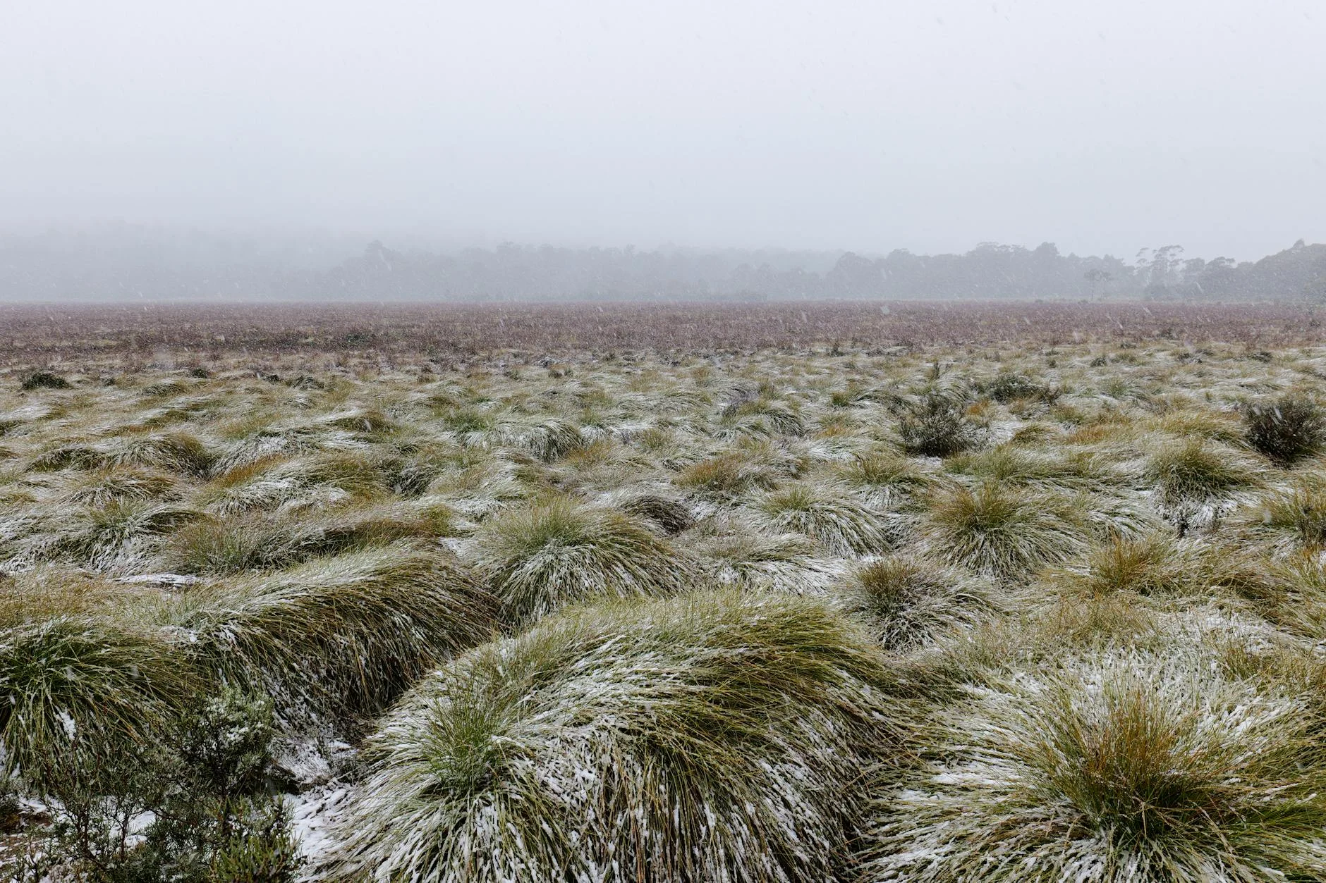 The Central Highlands plateau - open, treeless, remote