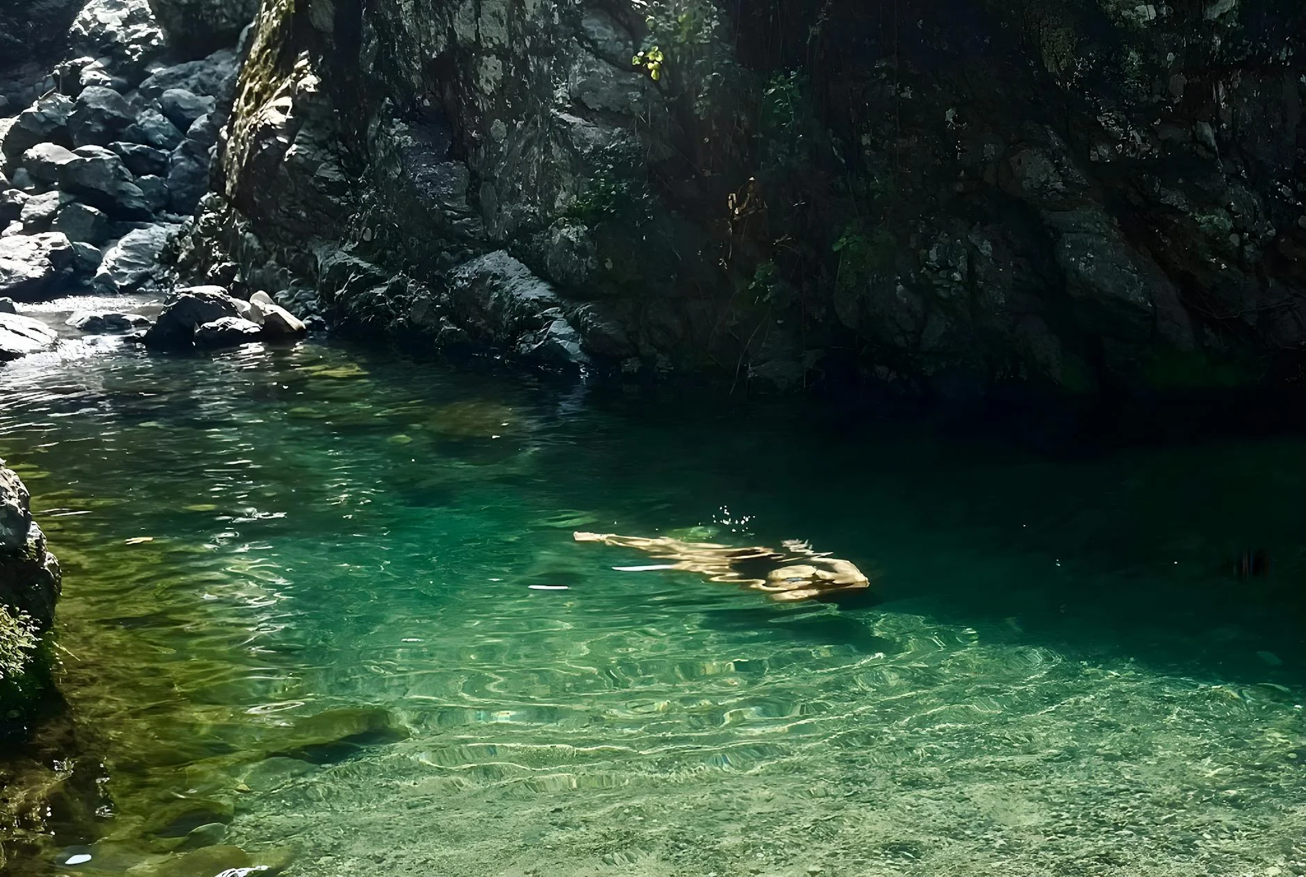Hastings Caves thermal pool - warm swimming in southern Tasmania