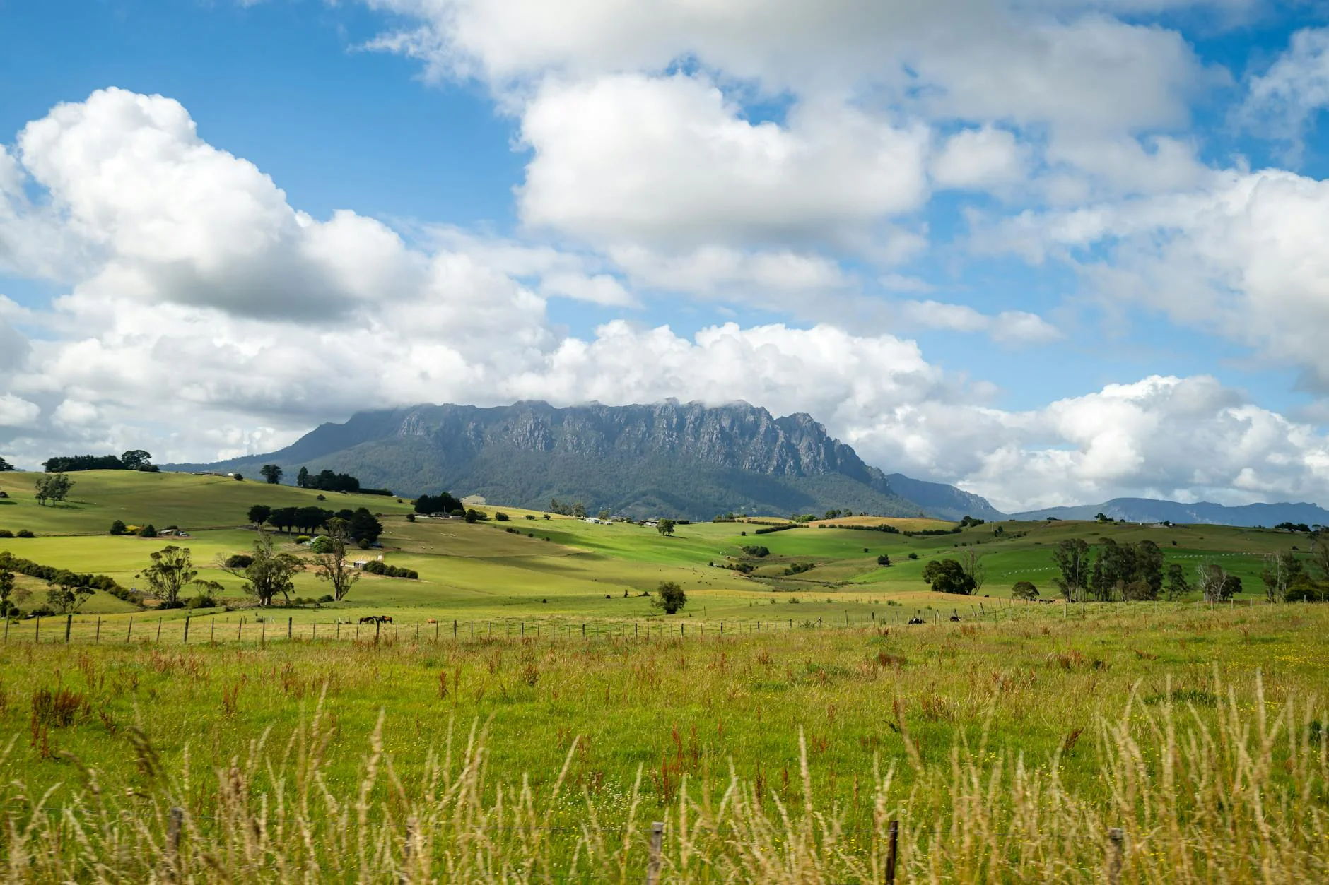 Huon Valley hinterland driving near Lucaston