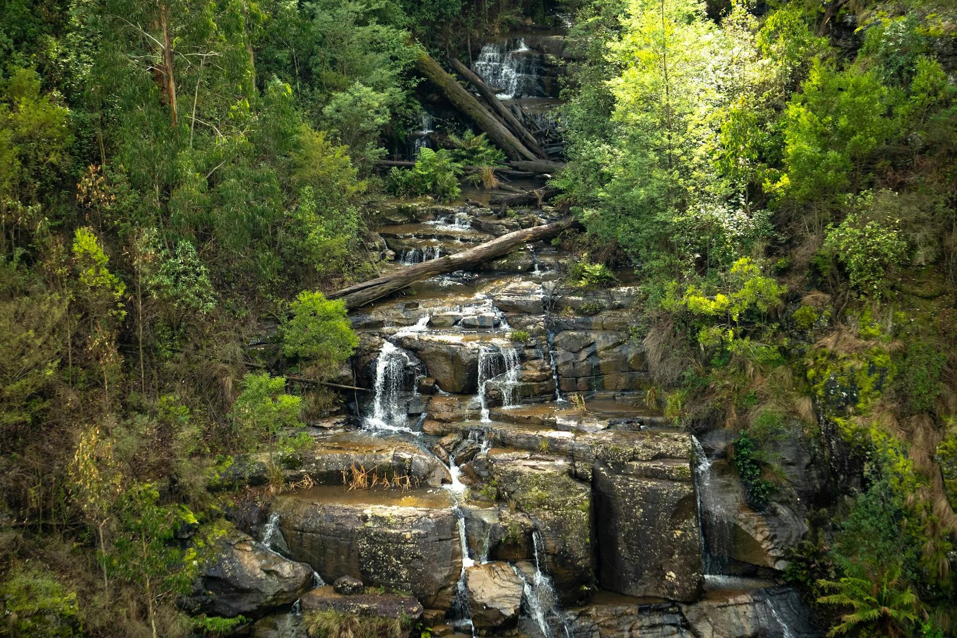 Steavenson Falls - 122 metres of cascading water near Marysville