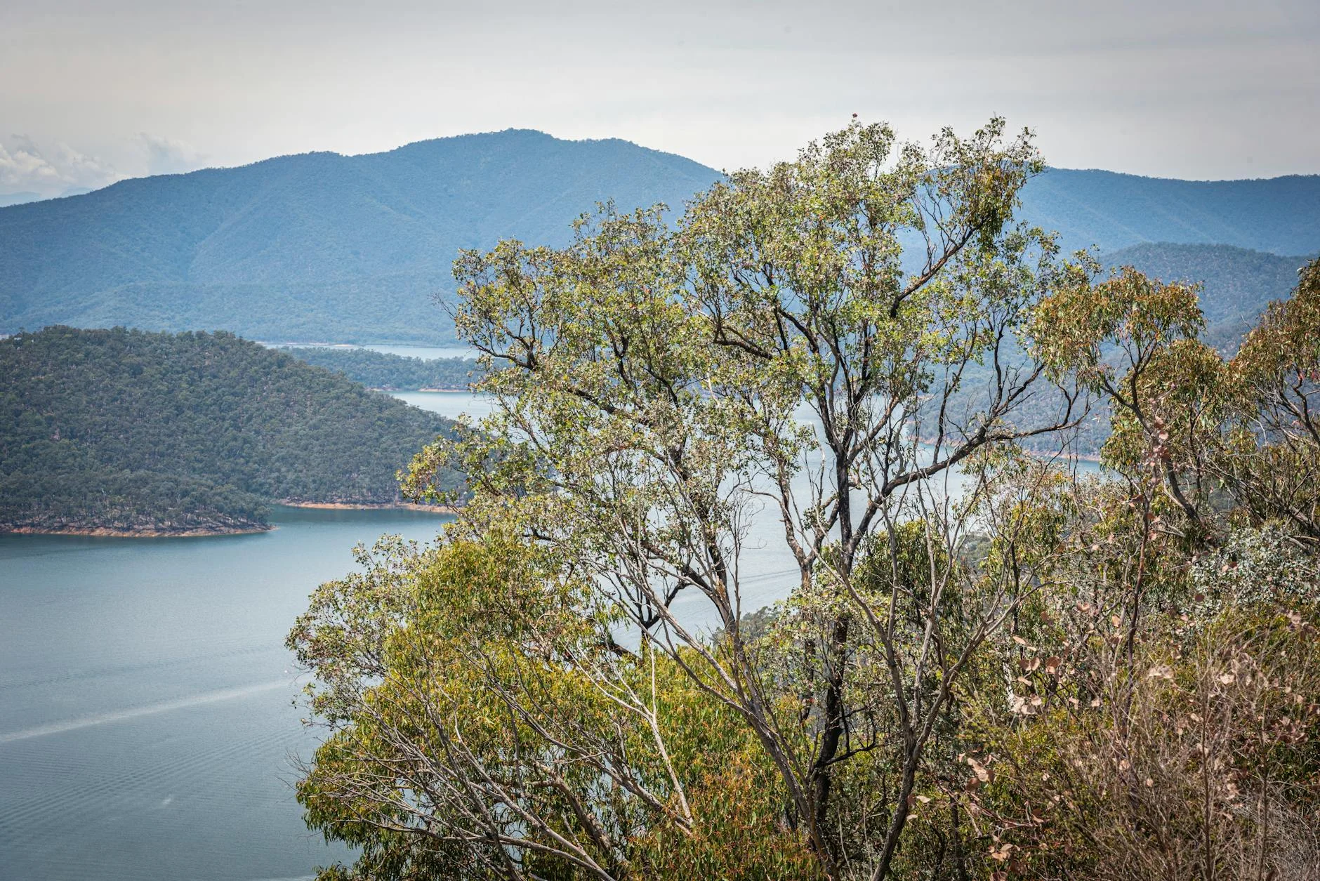 Lake Eildon from the stage road above