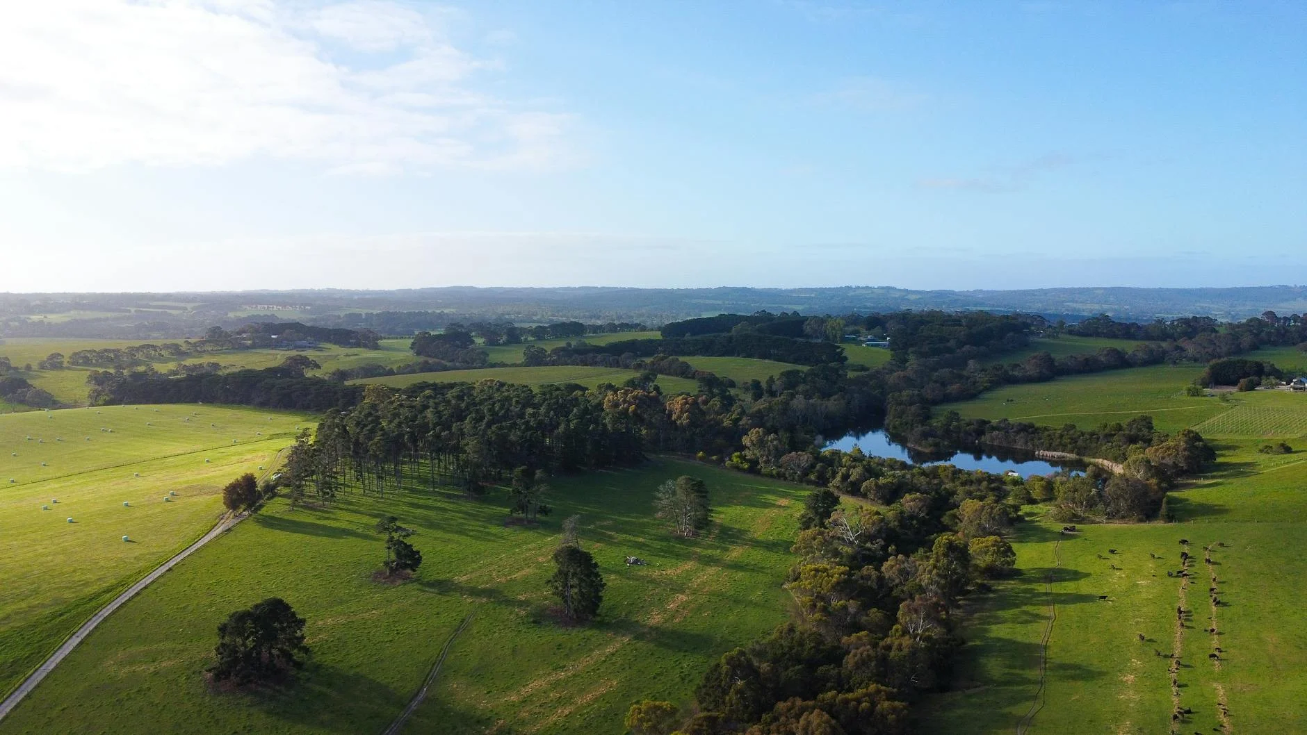 The King Valley - pastoral country opening northward
