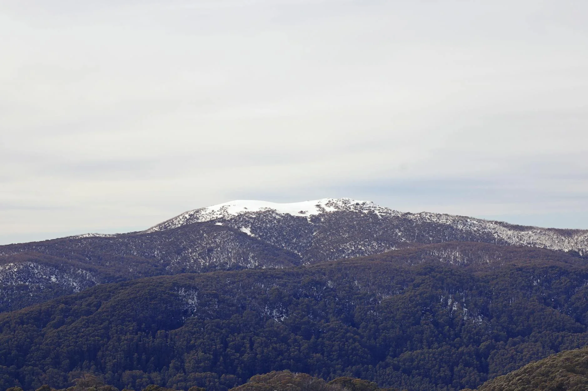 Summit views across the Alps to Mount Feathertop