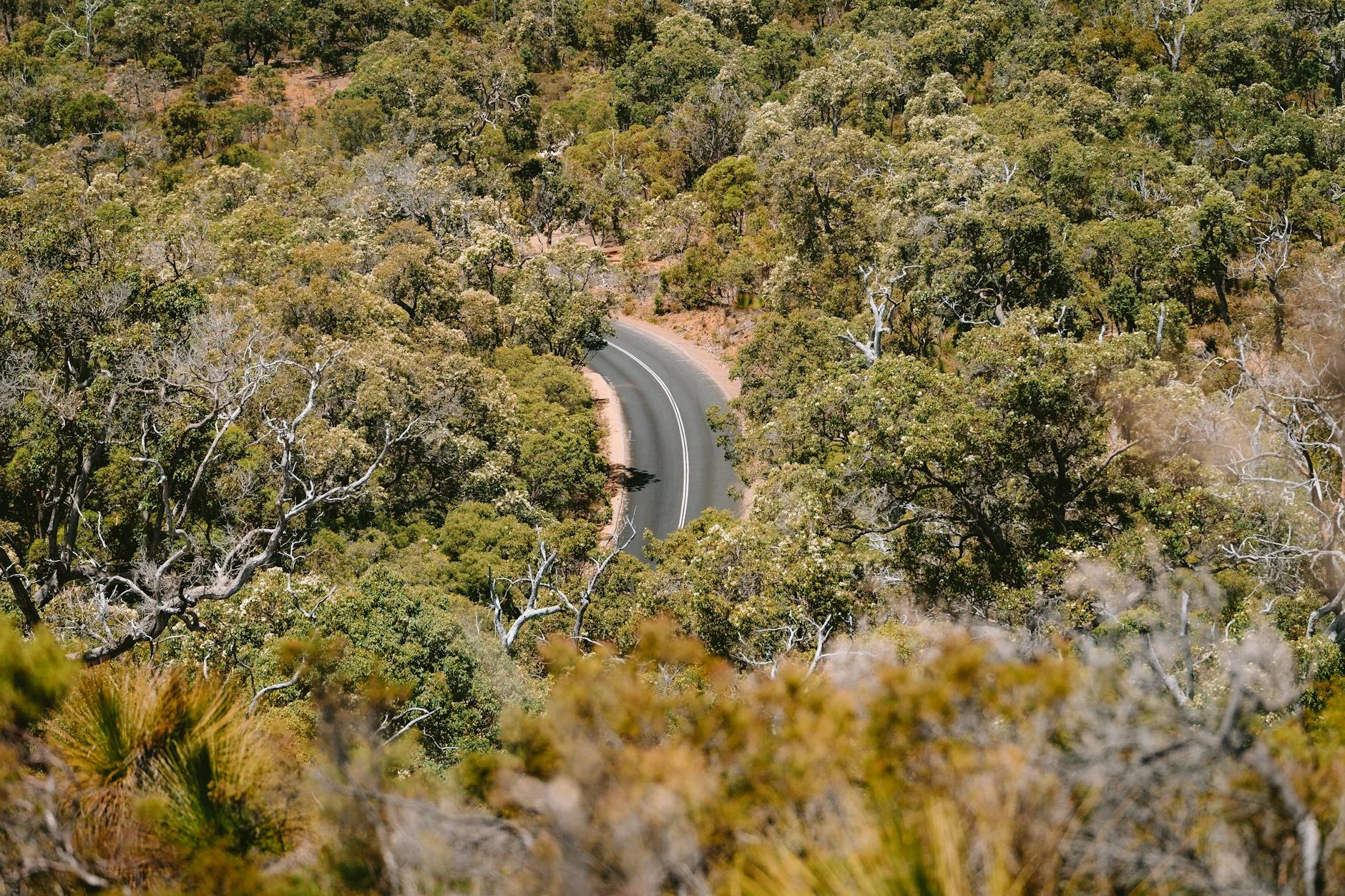 Pump Hill hillclimb through karri and marri woodland