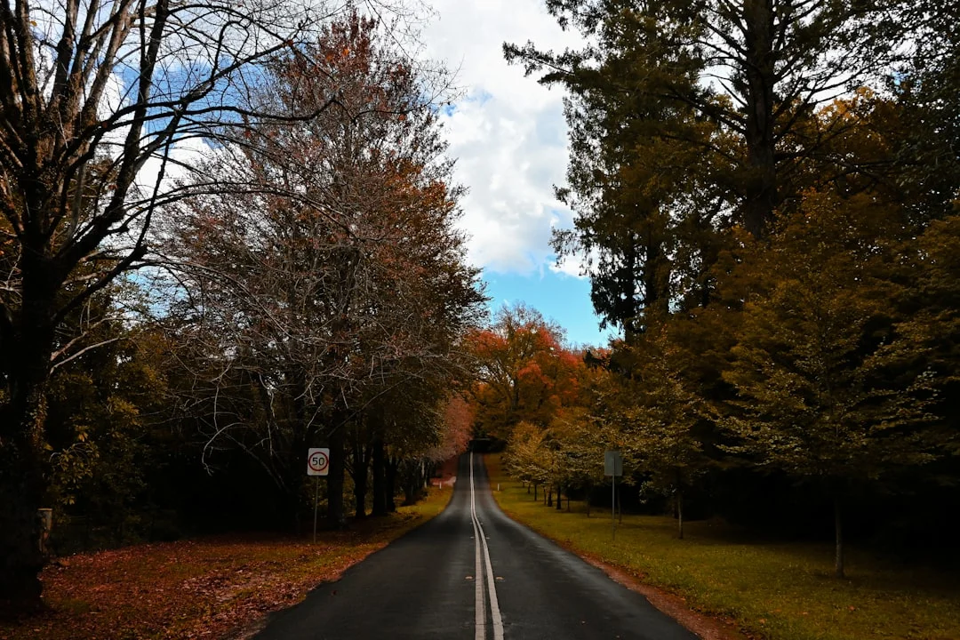 Forested switchbacks on the Great Dividing Range crossing