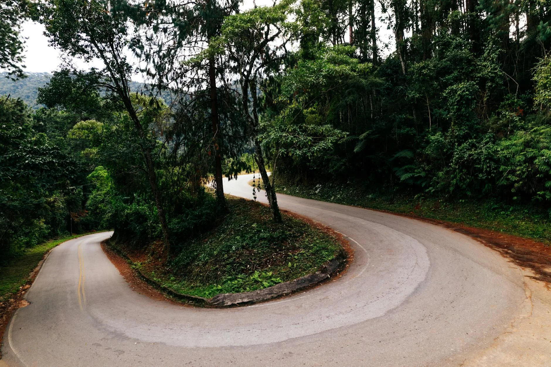 The 40-km escarpment descent through World Heritage rainforest